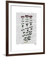 Italian Carnation 6-Fab Funky-Framed Art Print