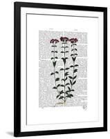 Italian Carnation 6-Fab Funky-Framed Art Print