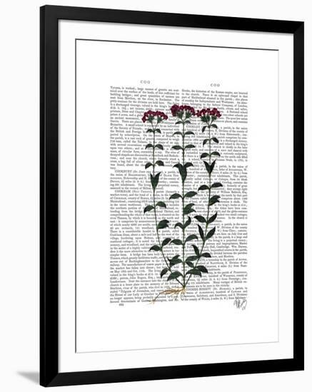 Italian Carnation 6-Fab Funky-Framed Art Print