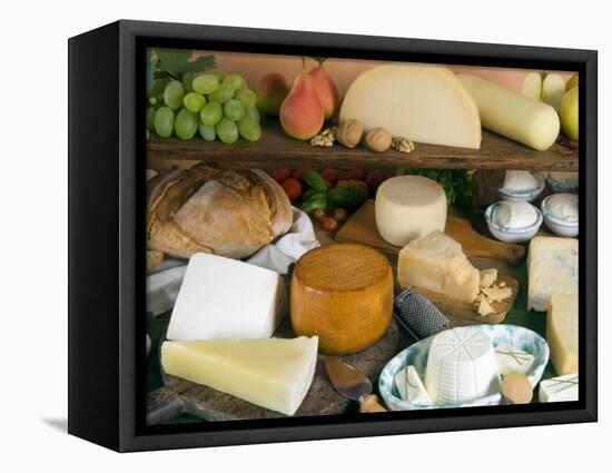 Italian Cheeses, Italy-Nico Tondini-Framed Stretched Canvas