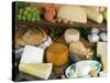 Italian Cheeses, Italy-Nico Tondini-Stretched Canvas