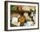 Italian Cheeses, Italy-Nico Tondini-Framed Photographic Print