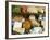 Italian Cheeses, Italy-Nico Tondini-Framed Photographic Print