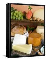 Italian Cheeses, Italy-Nico Tondini-Framed Stretched Canvas