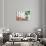 Italian Colors-Philippe Hugonnard-Giclee Print displayed on a wall