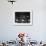 Italian Conductor Claudio Abbado Rehearsing the La Scala Opera Orchestra-Alfred Eisenstaedt-Framed Premium Photographic Print displayed on a wall