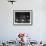 Italian Conductor Claudio Abbado Rehearsing the La Scala Opera Orchestra-Alfred Eisenstaedt-Framed Premium Photographic Print displayed on a wall