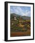 Italian Countryside I-Vivien Rhyan-Framed Art Print