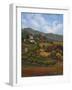 Italian Countryside I-Vivien Rhyan-Framed Art Print