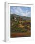 Italian Countryside I-Vivien Rhyan-Framed Premium Giclee Print