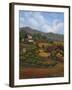 Italian Countryside I-Vivien Rhyan-Framed Art Print