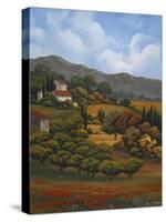 Italian Countryside I-Vivien Rhyan-Stretched Canvas