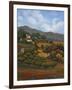 Italian Countryside I-Vivien Rhyan-Framed Art Print