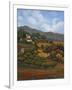 Italian Countryside I-Vivien Rhyan-Framed Art Print