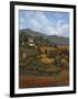 Italian Countryside I-Vivien Rhyan-Framed Art Print