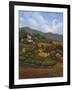 Italian Countryside I-Vivien Rhyan-Framed Art Print