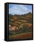 Italian Countryside II-Vivien Rhyan-Framed Stretched Canvas