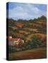 Italian Countryside II-Vivien Rhyan-Stretched Canvas