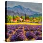 Italian Countryside  -Square-Valery Rybakow-Stretched Canvas