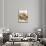 Italian Cuisine-Fabio Petroni-Mounted Photographic Print displayed on a wall