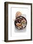 Italian Cuisine-Fabio Petroni-Framed Photographic Print