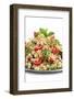 Italian Cuisine-Fabio Petroni-Framed Photographic Print