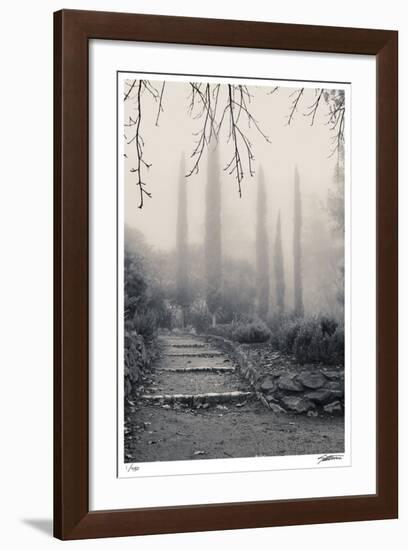 Italian Cypress-Donald Satterlee-Framed Giclee Print