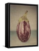 Italian Eggplant-Jennifer Kennard-Framed Stretched Canvas