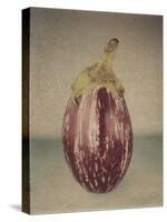 Italian Eggplant-Jennifer Kennard-Stretched Canvas