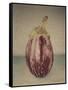 Italian Eggplant-Jennifer Kennard-Framed Stretched Canvas