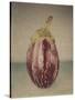 Italian Eggplant-Jennifer Kennard-Stretched Canvas