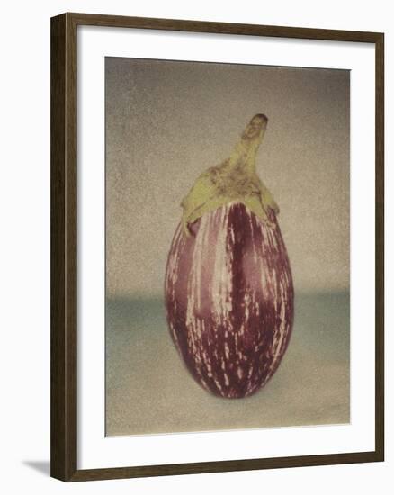 Italian Eggplant-Jennifer Kennard-Framed Photographic Print