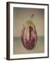 Italian Eggplant-Jennifer Kennard-Framed Photographic Print