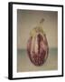 Italian Eggplant-Jennifer Kennard-Framed Photographic Print