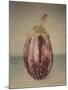 Italian Eggplant-Jennifer Kennard-Mounted Photographic Print