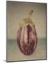 Italian Eggplant-Jennifer Kennard-Mounted Photographic Print