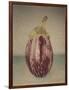 Italian Eggplant-Jennifer Kennard-Framed Photographic Print