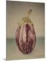 Italian Eggplant-Jennifer Kennard-Mounted Photographic Print