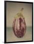 Italian Eggplant-Jennifer Kennard-Framed Photographic Print