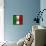 Italian Flag And Venice-Petrafler-Framed Stretched Canvas displayed on a wall