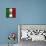 Italian Flag And Venice-Petrafler-Framed Stretched Canvas displayed on a wall