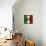 Italian Flag And Venice-Petrafler-Framed Stretched Canvas displayed on a wall