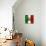 Italian Flag And Venice-Petrafler-Stretched Canvas displayed on a wall