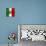 Italian Flag And Venice-Petrafler-Art Print displayed on a wall