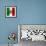 Italian Flag And Venice-Petrafler-Framed Art Print displayed on a wall