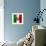 Italian Flag And Venice-Petrafler-Framed Art Print displayed on a wall