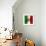 Italian Flag And Venice-Petrafler-Framed Art Print displayed on a wall