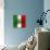 Italian Flag And Venice-Petrafler-Art Print displayed on a wall