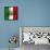 Italian Flag And Venice-Petrafler-Framed Stretched Canvas displayed on a wall