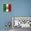 Italian Flag And Venice-Petrafler-Stretched Canvas displayed on a wall
